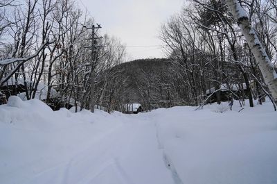 20150218himeki1.jpg