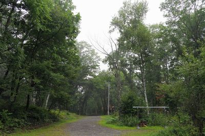 20140831himeki.jpg