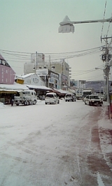 4951a540.jpg