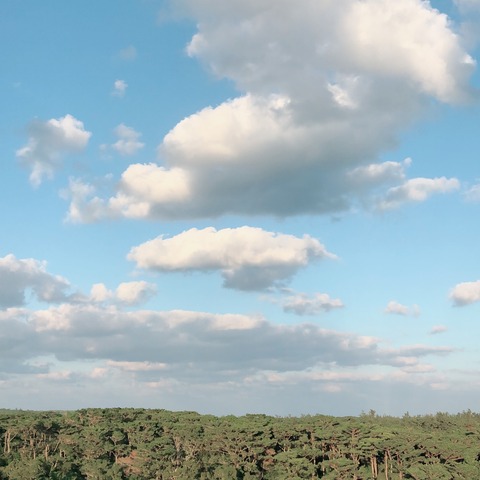 写真 2018-12-19 17 12 15