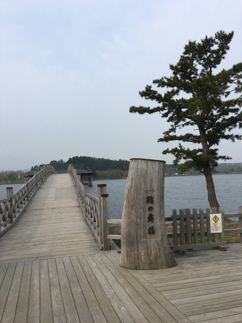 写真 2018-05-14 12 10 57