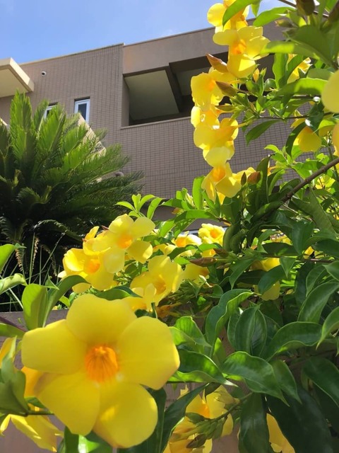 写真 2018-06-11 8 11 57