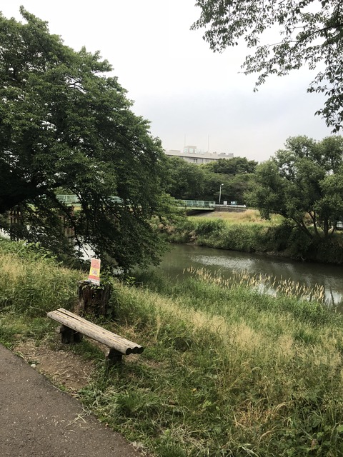 写真 2018-06-05 18 28 41