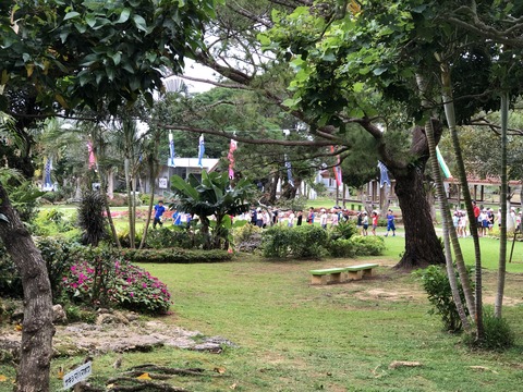 写真 2019-04-26 9 10 23