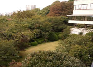 上野精養軒_庭