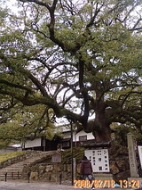 9dd89104.jpg