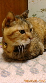 b93d7777.jpg