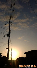 f916f1bd.jpg