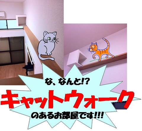 catwalk大