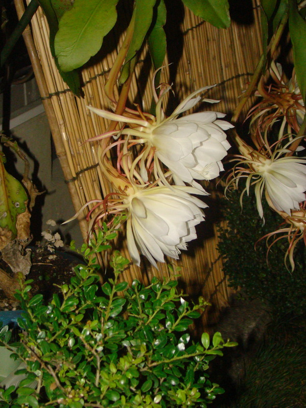 DSC01235