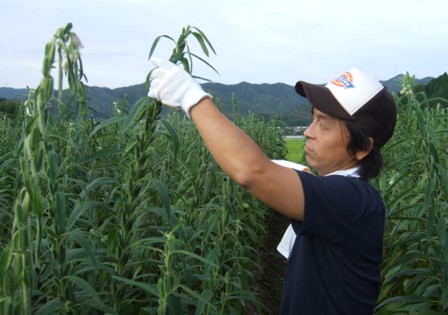 山田製油見学35
