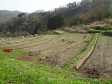 畦塗り2