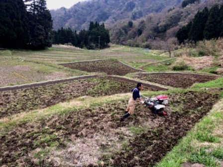 田起し