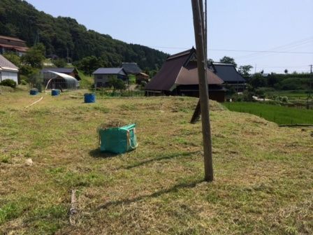 草刈り