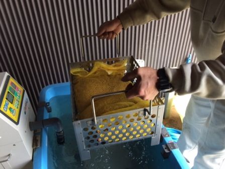 温湯消毒1