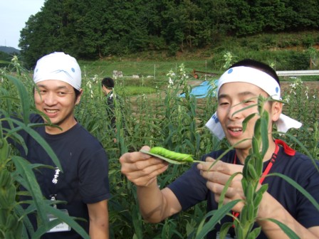山田製油見学36