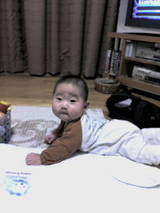 c2238627.jpg