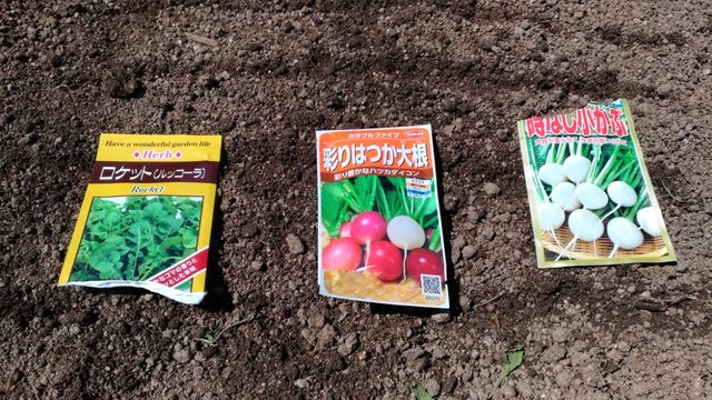 P_20180419_131008_vHDR_Auto