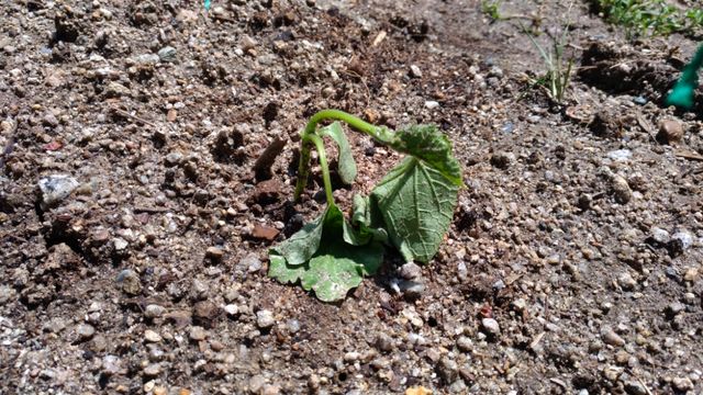 P_20180419_110228_vHDR_Auto