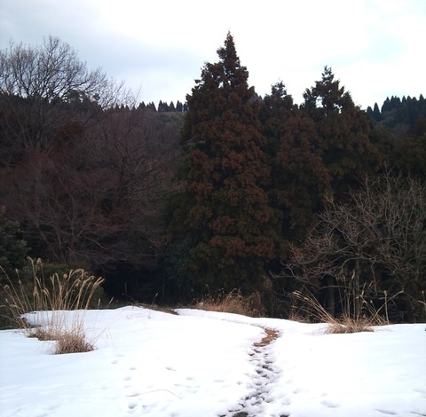 sugiura07-1