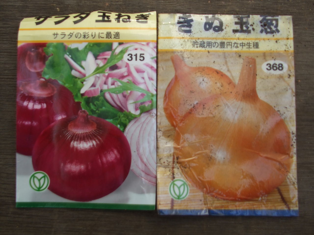 タマネギ 種