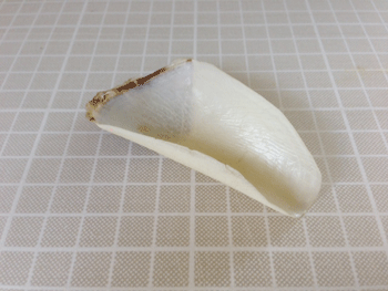 爪やすり裏