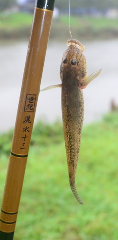 世紀麗水