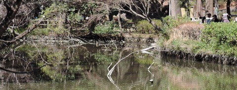 和田堀公園