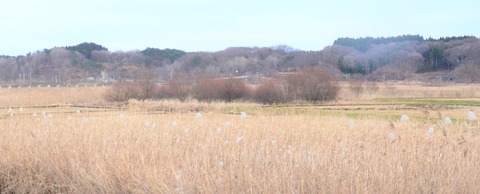 姉沼川水系
