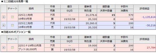 先物オプション建て玉