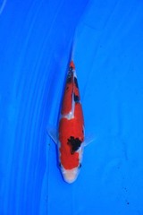 IMG_2789