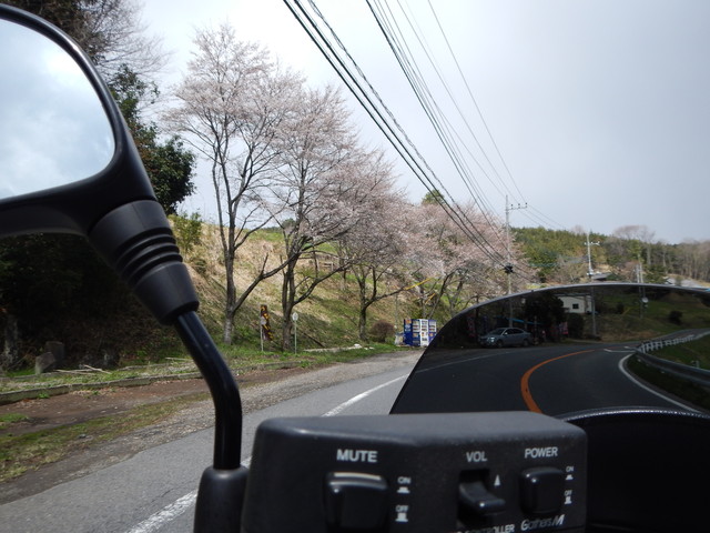 DSCN6738