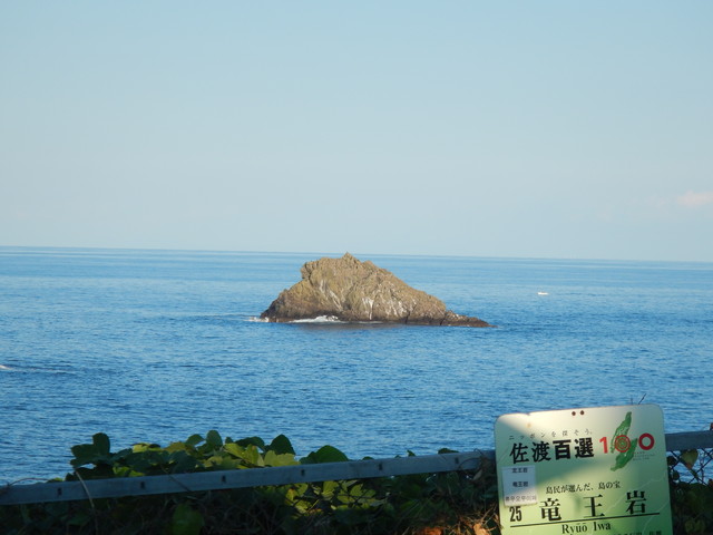 DSCN7663