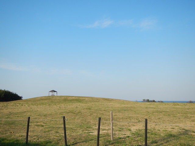 DSCN6929