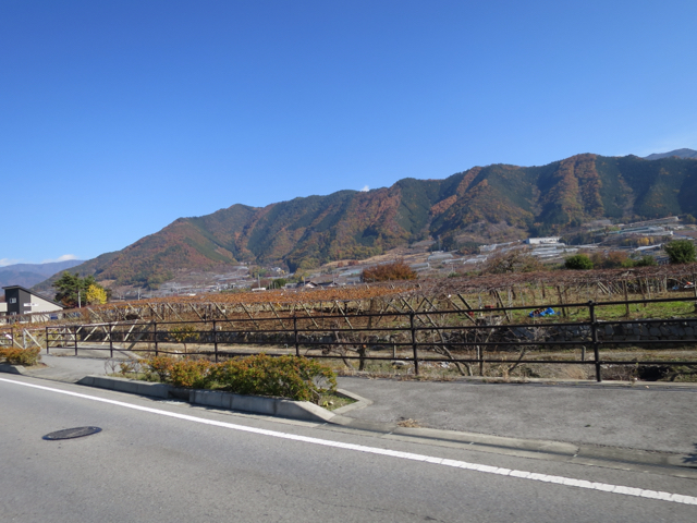 2014-11-23-12-27-07