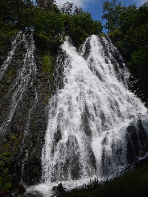 DSCN7424
