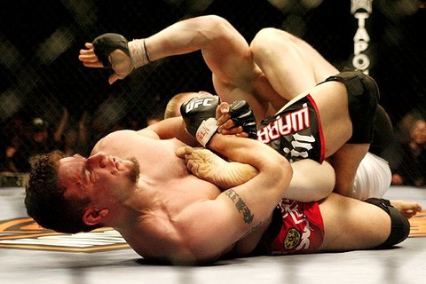 mma_mir_lesnar_600