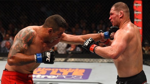 espnapi_dm_150614_sonnen_analysis353_wmain