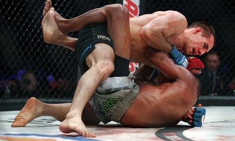 rory-macdonald-bellator-192