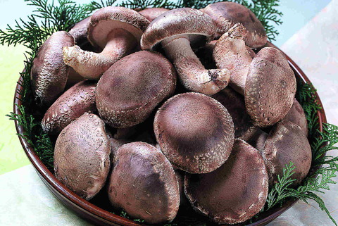 atsunikushiitake