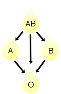 200px-Plasma-donation