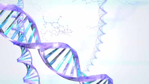 DNA_B