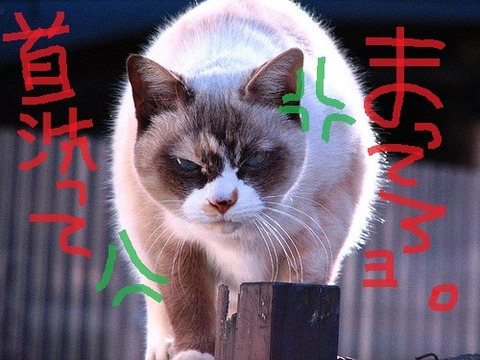 体験談画像4