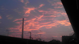 6e8f27f1.jpg