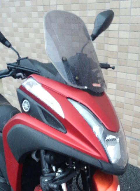 KIMG0774b