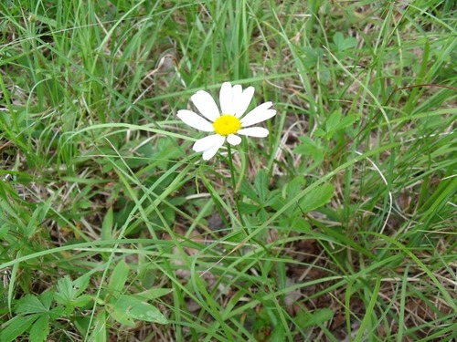 GEDC0776
