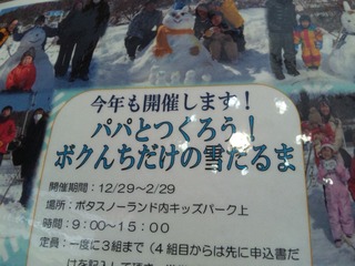 ぼくんちだけの雪だるま