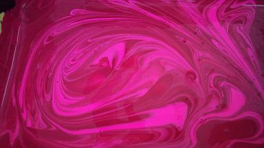 2010-08-16 15 16 12�ڥ���Ȥ褤