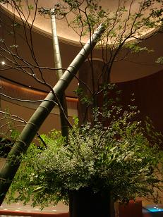 セルリアン201007 002