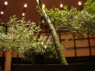 セルリアン201007 003